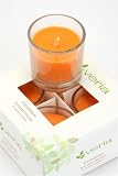 41ss7gBnySL. SL160  Votive Candle Set of Four   Cinammon
