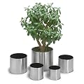 Blomus Edelstahl Blumentopf GREENS, Durchmesser 18cm, H&ouml;he 16cm