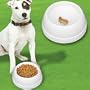 FINICKY FEEDER