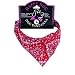 Red Paisley Dog Bandanas (Large)