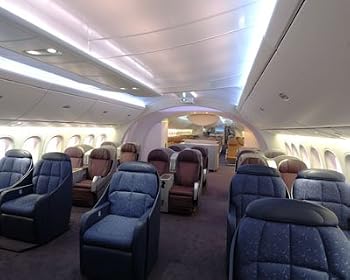 787 Dreamliner Interior Matted Print