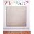 Why Is That Art?: Aesthetics and Criticism of Contemporary Art