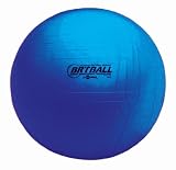 Champion Sports Burst Resistant Training And Exercise Balls (Blue - 42cm)