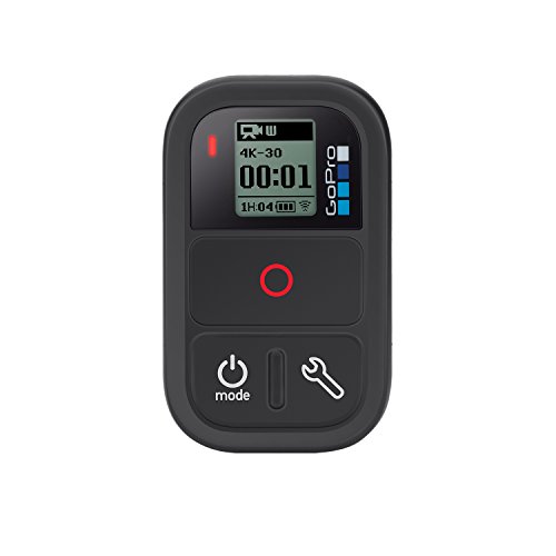 Gopro smart remote