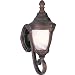 Maxim Lighting - 85072MREB : Wakefield ES 1-Light Outdoor Wall Lantern - Empire Bronze
