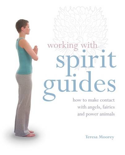 working with spirit guides how to make contact with angels fairies and power animals