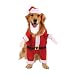 Casual Canine Kris Kringle Costume Med
