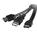 StarTech 3-Feet Power eSATA Male to eSATA Male and USB A Female Cable (ESATAUSBBO3)