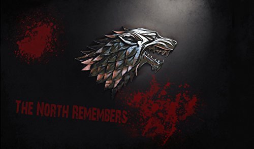 Game of Thrones the North Remembers Playmat + Free RFG Sleeves 75 Count
