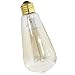 Squirrel Cage Filament 30 Watt Antique Reproduction Light Bulb