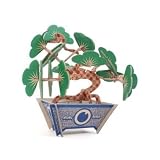 Bonsai Tree Gift Set: Water Free & Care Free! Great Gift Idea! Reviews 41st5ct2UhL. SL160 Bonsai Tree Gift Set: Water Free & Care Free! Great Gift Idea! Reviews