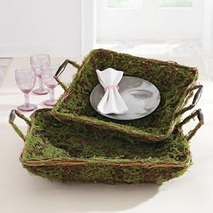 Set of Two Oversized Moss Trays - Grandin Road