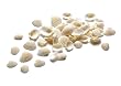 muscheln basteln