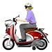 Mini Scooter (Boy)