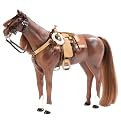 Western Riding Set