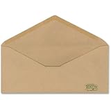 Ampad EarthWise Business Envelopes, # 10, 22 Pound Paper, Gummed Closure, V-Flap, 500 per Box (19702R)