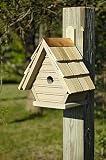 Chick Birdhouse