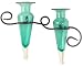 Double Amphorae Sconce W/Knot Amber