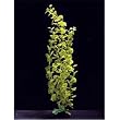 Cardamine Plastic Plant 24in