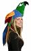 Parrot Costume Hat