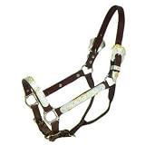 Silver Royal Gold Scroll Silver Bar Show Halter