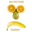 L'Equip 6-Tray Food Dehydrator - Model 528 (LEquip Dehydrater)
