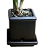Plant Furniture 3032 Perfect Orchid Pot, Stone Black