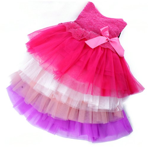 Urparcel Baby Girls One Piece Floral Dress Lace Bowknot Party Ballet Skirts 0-3Y