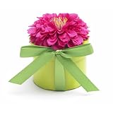 Bloembox Minis: Standard Lilliput Zinnia in Gift Box