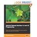 Asterisk Gateway Interface 1.4 and 1.6 Programming