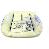 Genuine GM 88941606 Seat Cushion Pad, Driver Side