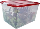 Iris Holiday Box with Buckle-Up Lid - Iris 100800 (Clear/Red) (6.5