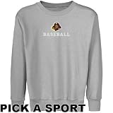 East Carolina Pirates Youth Ash Custom Sport Logo Applique Crew Neck Fleece Sweatshirt (Large)