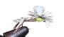 Parachute Hopper Fly by Wild Water, Size 10, Price Per 3 Flies