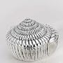 SILVER PLATED SNAIL JEWELERY BOX