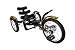 Mobo Mobito (Black) Cruise in Style (16")