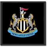 Newcastle Face Towel