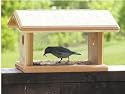 Bluebird Feeder