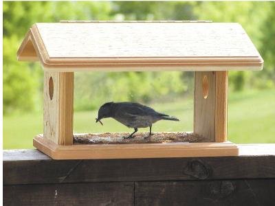 Bluebird Feeder