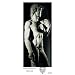Superstar Michelangelo Statuen - speziell ausgew�hlte B�cher