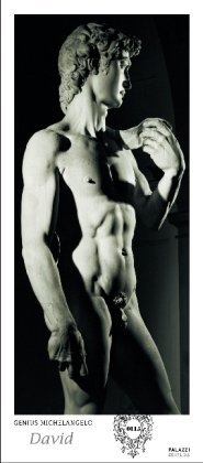 Palazzi Panorama - Genius Michelangelo: David: Mit Dauerkalendarium und Magnet-Pin