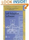 Self-Adaptive Software: First International Workshop, IWSAS 2000 Oxford, UK, April 17-19, 2000 Revised Papers (Lecture Notes in Computer Science)
