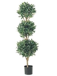 Pack of 2 Potted Artificial Sweet Bay Triple Ball Topiary Trees 4'