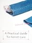A Practical Guide to Ferret Care