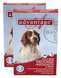 12 MONTH Advantage Flea Control Red: For Dogs 21-55lbs