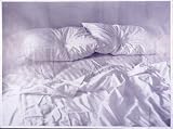 Aids Billboard Giclee Poster Print by Felix Gonzales-Torres, 60x44
