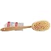 Yerba Prima Skin Brush Vegetable Fiber Brissle