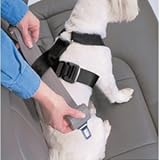 41svcJxwYLL. SL160  Petbuckle Small Breed Travel Harness W/ Adjuster   Under 20 Lb