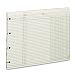Wilson Jones GN2DA Green End-Balance Ledger Form Paper, Both Sides Alike, Punched for Post Binders, 9-1/4" X 11-7/8", 100 Sheets/Pack