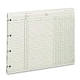 Wilson Jones GN2DA Green End-Balance Ledger Form Paper, Both Sides Alike, Punched for Post Binders, 9-1/4